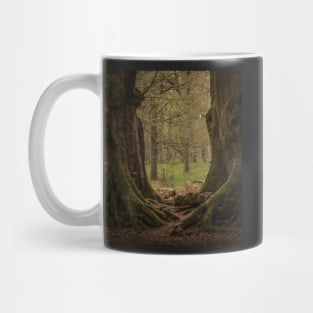 'The Witness Trees', Kinclaven Woods, Perthshire. Mug